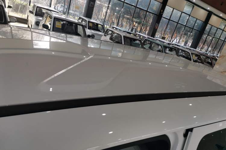 Used  V23 2025 401 Two-Wheel Drive Advanced Edition
