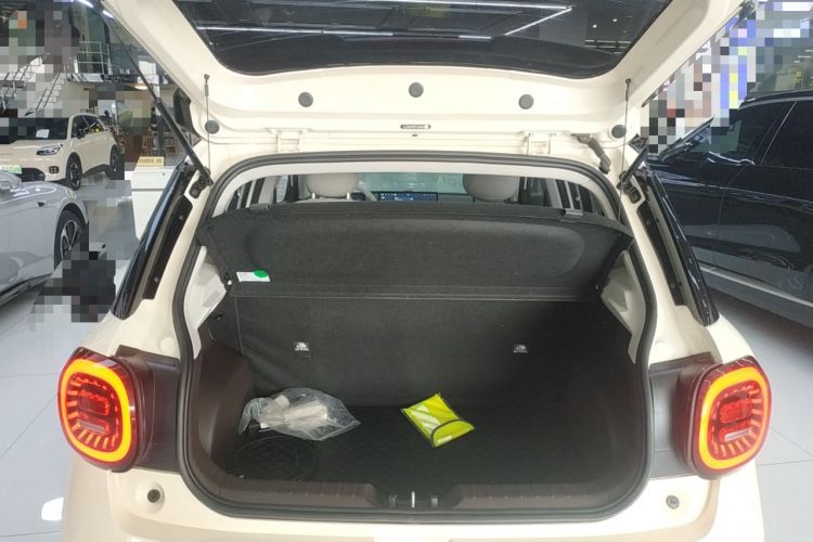 Used  3 2023 505km Pro
