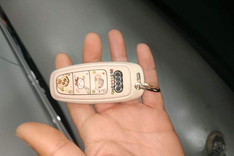 Used Audi A6L 2025 Restyled 45 TFSI quattro Prestige Dynamic Edition
