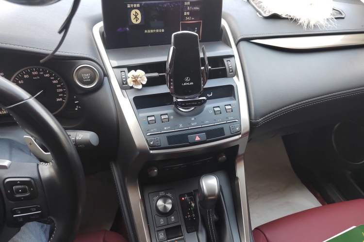 Used Lexus NX 2020 200 All-Wheel Drive Fēngshàng Version China VI Standard