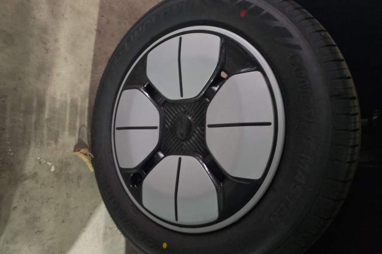 Used  Geome 2025 310km Youth Edition