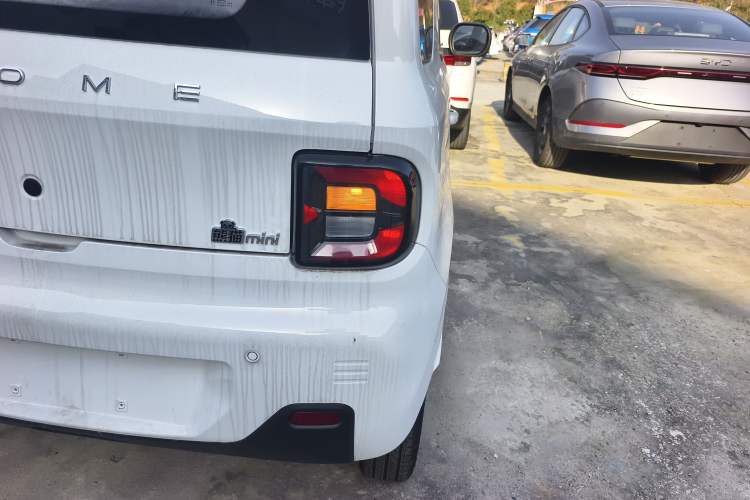 Used  Panda 2024 Panda Mini 200km Endurance Bear
