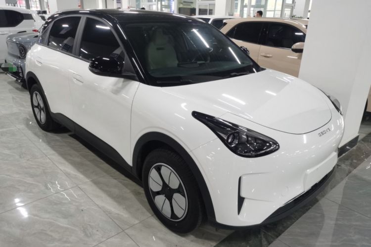 Used  Geome 2025 310km Youth Edition
