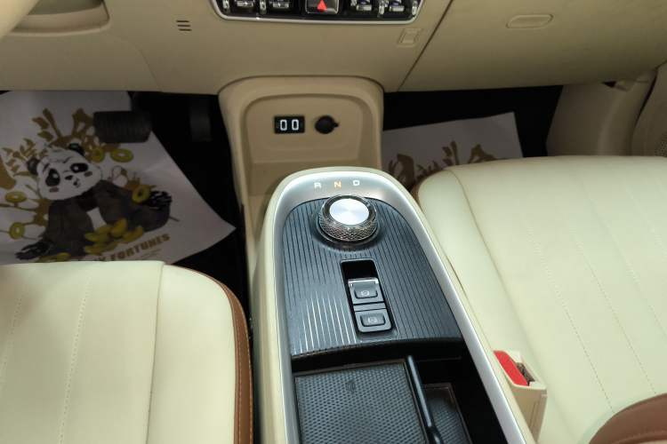 Used ORA Good Cat 2021 400km Standard Range Athena Edition Lithium-Ion Battery