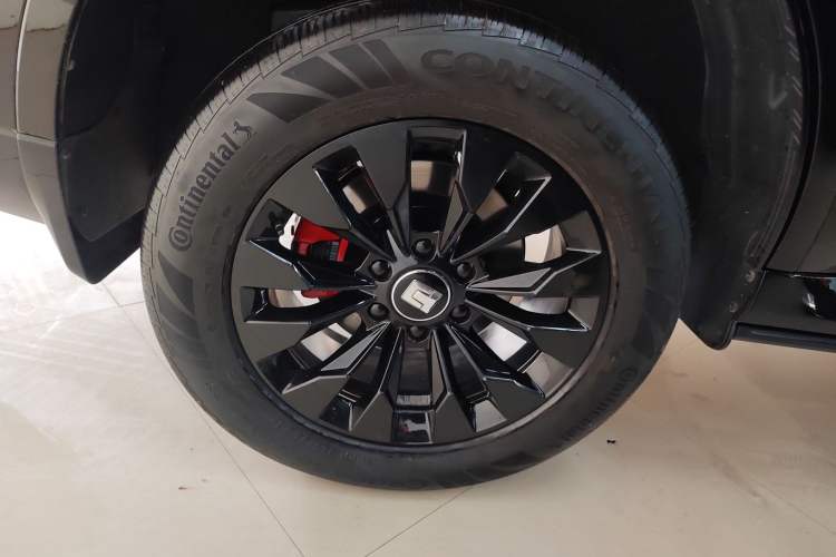 Used Tank 500 New Energy 2024 Hi4-T Black Warrior Edition
