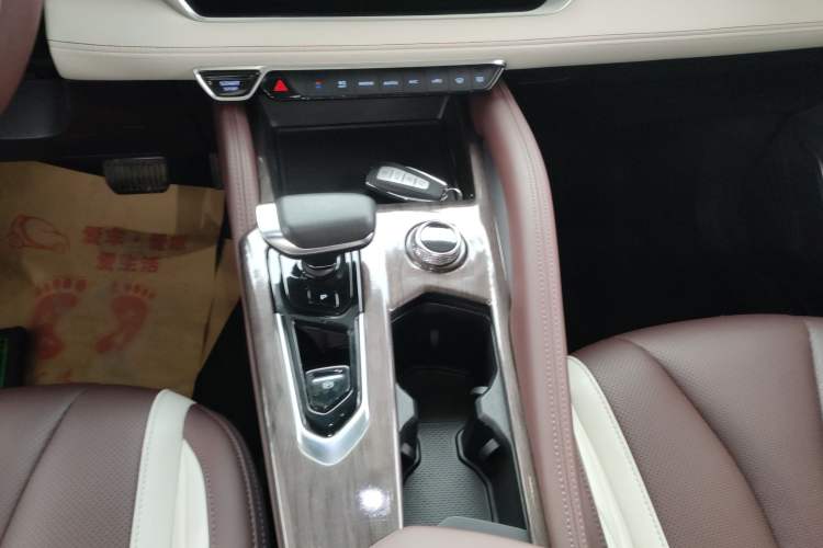 Used Geely Auto Monjaro L 2021 2.0TD DCT EVO Two-Wheel Drive Prestige Version