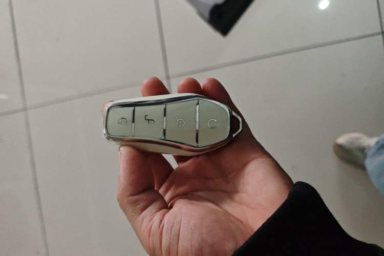 Used BYD Song PLUS New Energy 2025 DM-i 112KM Prestige Model