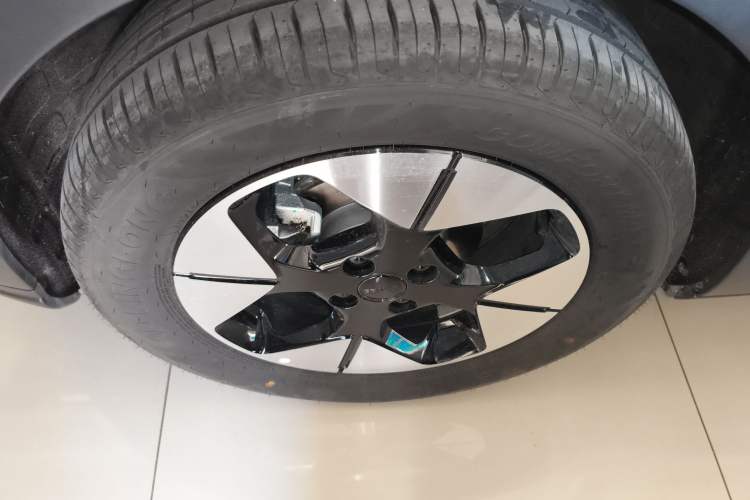 Used  Geome 2025 310km Dream Edition
