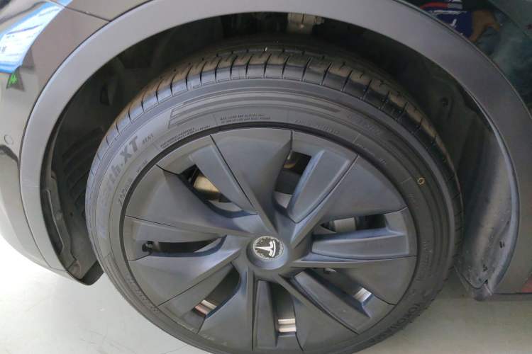 Used Tesla Model Y 2021 Standard Range Rear-Wheel Drive Version
