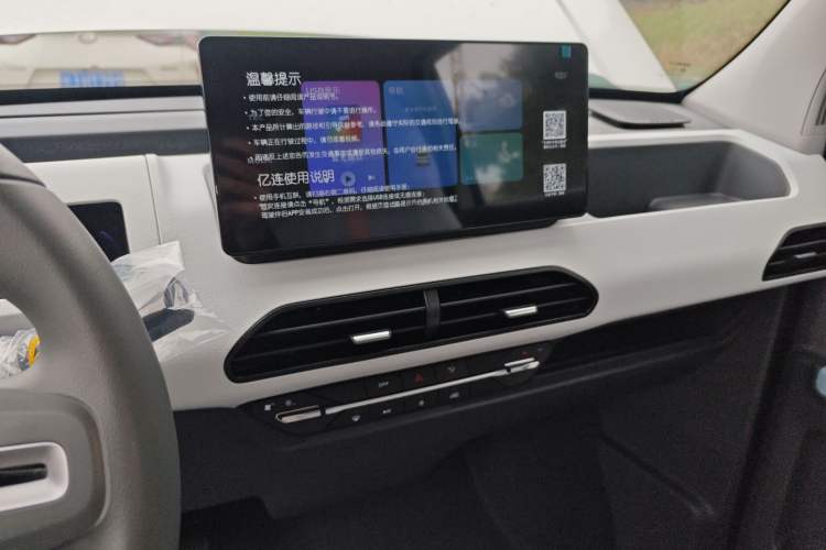 Used  Panda 2024 Panda Mini 200km Endurance Bear