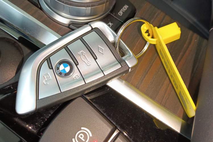 Used BMW 5 Series New Energy 2019 530Le Luxury Package