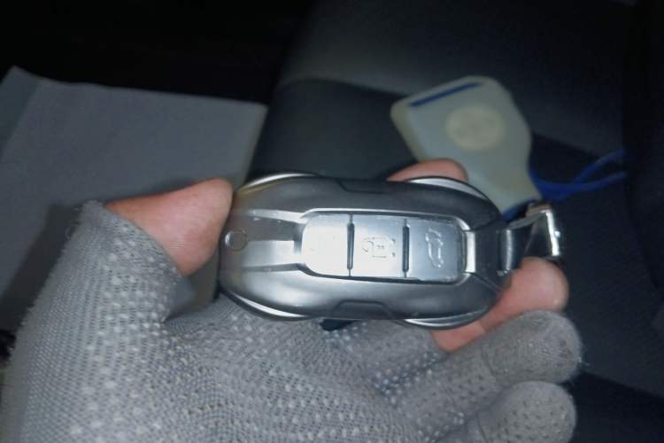 Used Nissan Murano 2019 2.5L XL Two-Wheel Drive Smart Connect Luxury Edition China VI Standard
