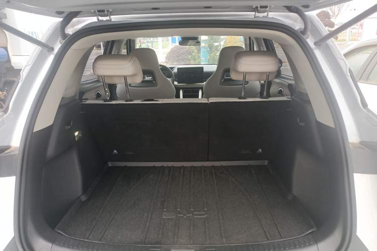 Used BYD Yuan UP 2024 401KM Leading Edition