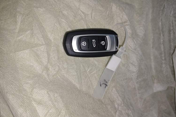 Used  Panda 2024 Panda Mini 200km Endurance Bear
