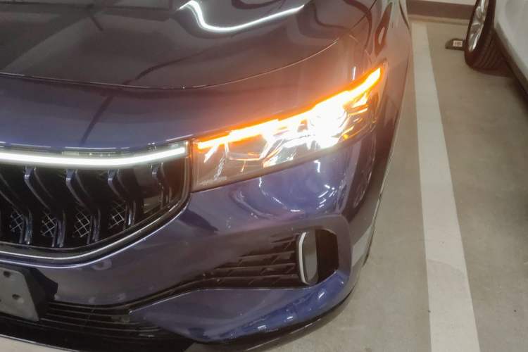 Used VOYAH FREE 2021 Four-Wheel Drive Standard Range-Extended Exclusive Luxury Package
