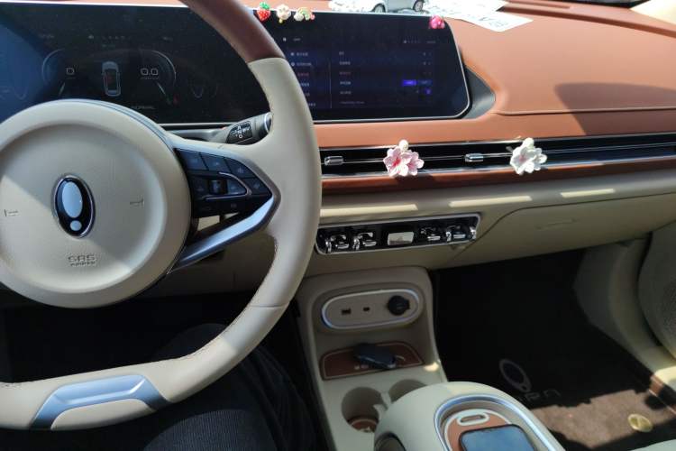 Used ORA Good Cat 2023 401 km Standard Range Luxury Version Lithium Iron Phosphate