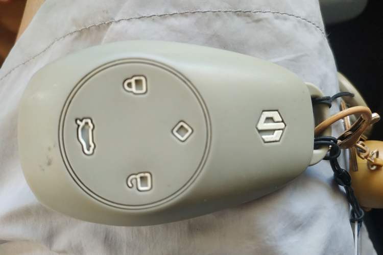 Used Leapmotor T03 2021 400 Lite Edition Lithium Iron Phosphate
