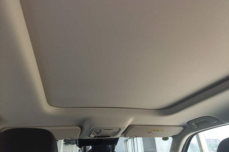 Used Haval Raptor New Energy 