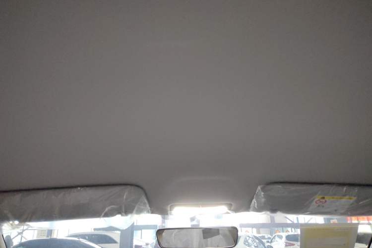 Used  Geome 2025 310km Youth Edition
