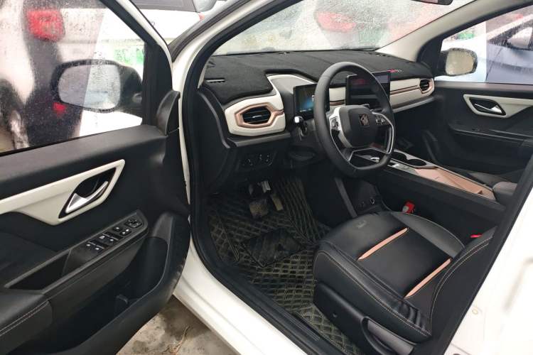 Used SOL E10X 2022 Flower Fairy Design Four-Leaf Clover
