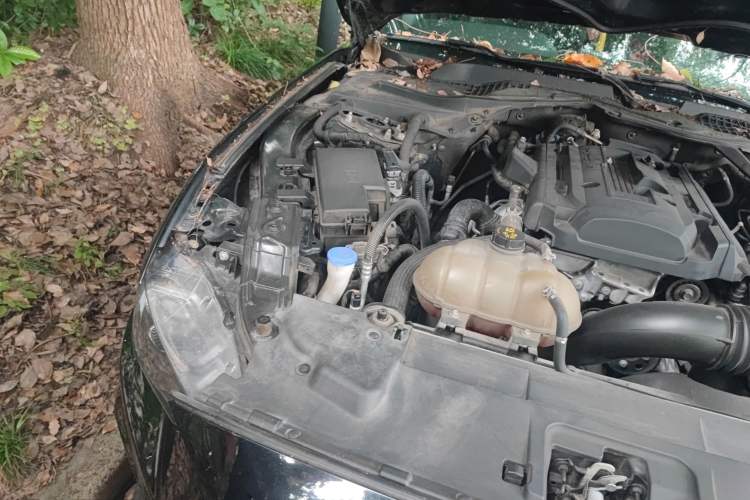 Used Ford Mustang 2020 2.3L EcoBoost
