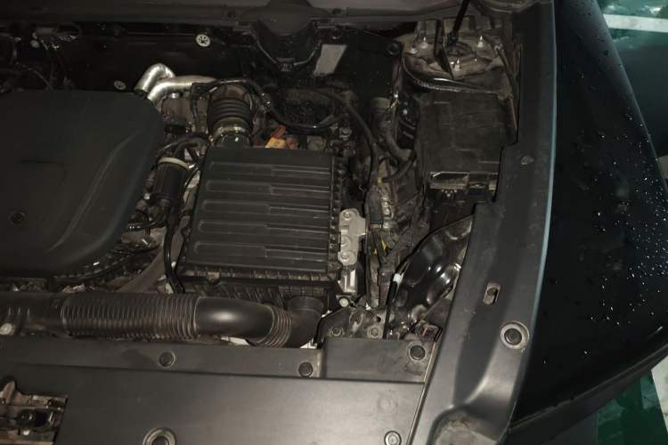 Used Haval Raptor New Energy 2023 Hi4 145 Explorer Edition
