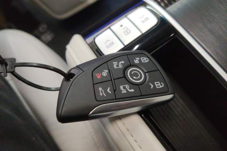 Used Buick GL8 New Energy 2024 Lu Zun Luxury Edition 6-Seater
