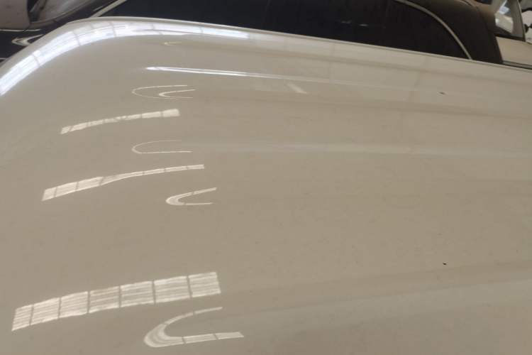 Used  Panda 2024 Panda Mini 200km Endurance Bear
