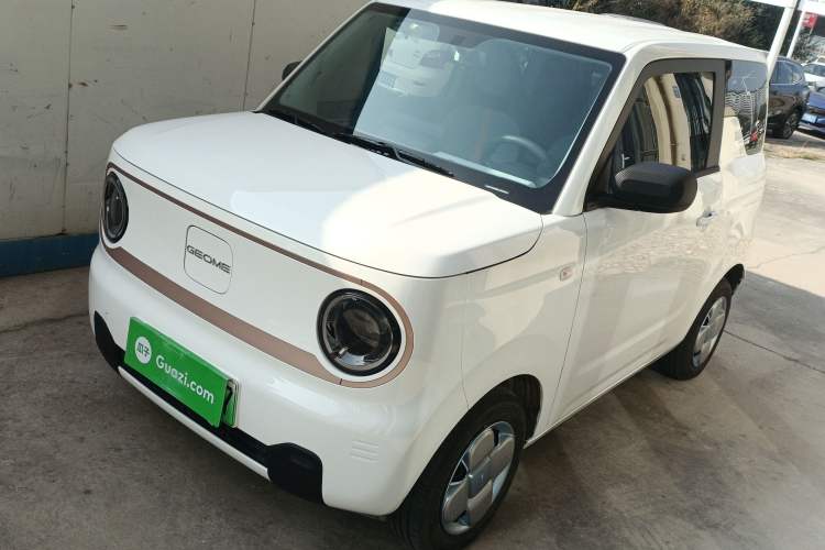 Used  Panda 2024 Panda Mini 200km Endurance Bear
