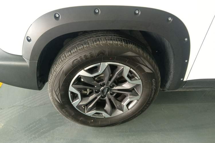 Used Haval DARGO 2024 2.0T DCT Chinese Rural Dog Edition
