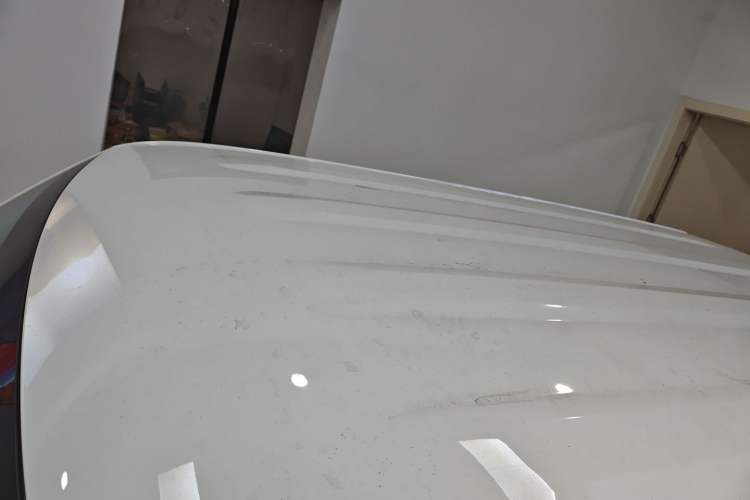 Used  Panda 2024 Panda Mini 200km Endurance Bear
