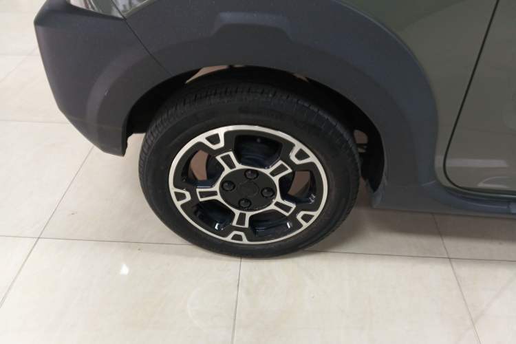 Used  Panda 2024 200km Panda Rider