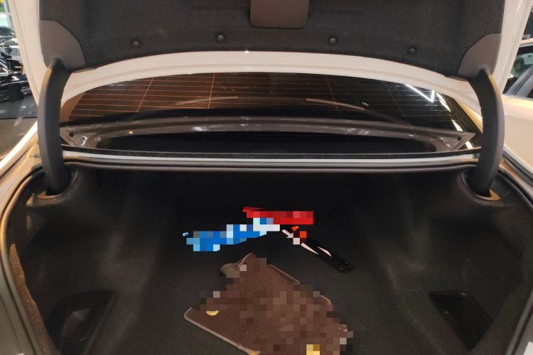 Used BMW 5 Series 2020 525Li Luxury Package
