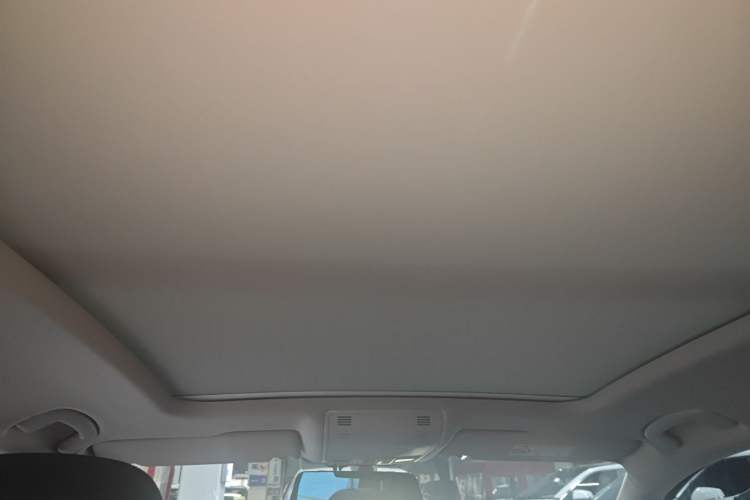 Used Volkswagen Magotan 2019 330TSI DSG Luxury Version China VI Standard
