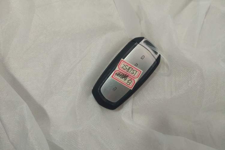 Used  Panda 2025 210 km – Yuanqi Bear
