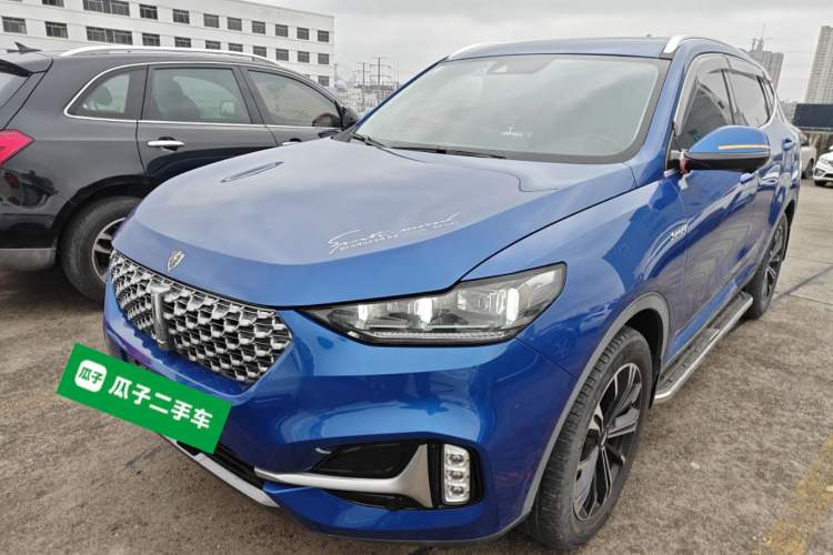 Used Wey VV6 2021 2.0T Two-Wheel Drive Smart Protection+