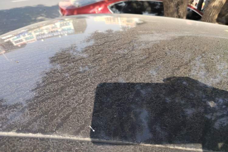 Used Volkswagen Lavida 2015 1.6L Manual Fashion Edition
