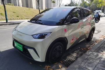 Used BYD Seagull 2023 Active Version