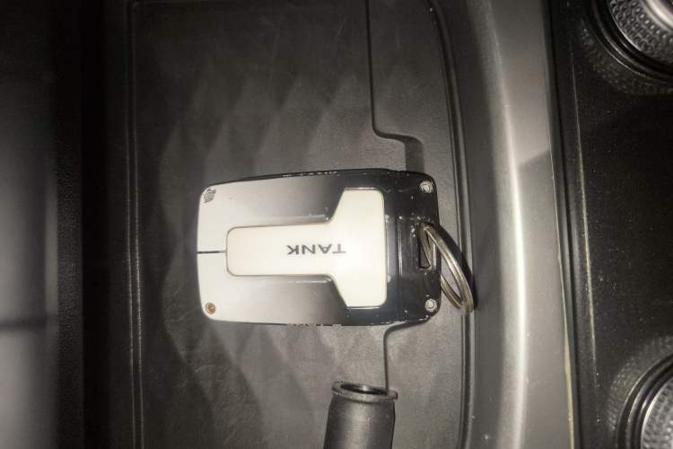 Used Tank 300 2023 2.0T Iron Rider 02