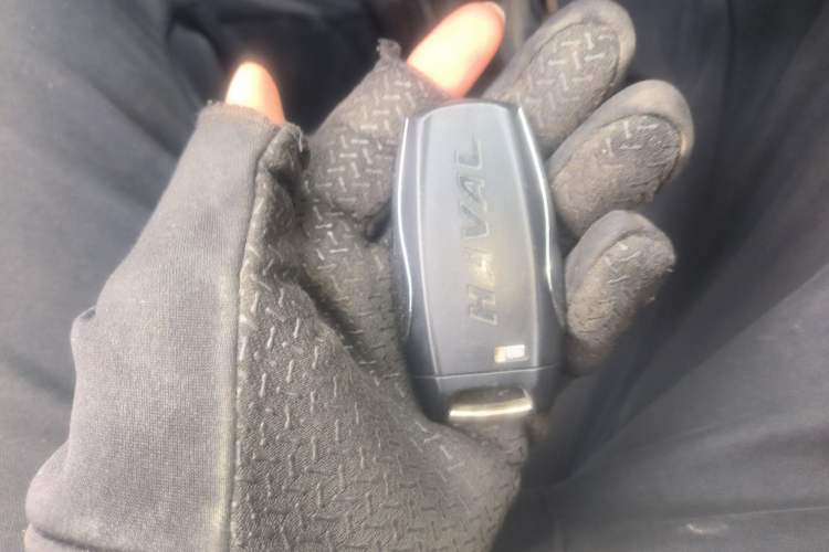 Used Haval H6 2018 Blue Label Sport Edition 1.5T Manual Two-Wheel Drive Elite Model