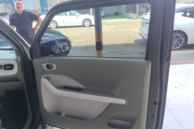 Used  Panda 2025 210km Panda Rider
