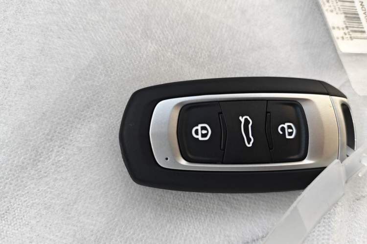 Used  Panda 2025 210 km – Yuanqi Bear
