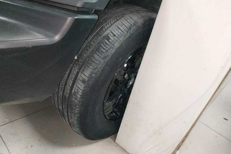 Used Tank 300 2021 Off-Road Edition 2.0T Conqueror