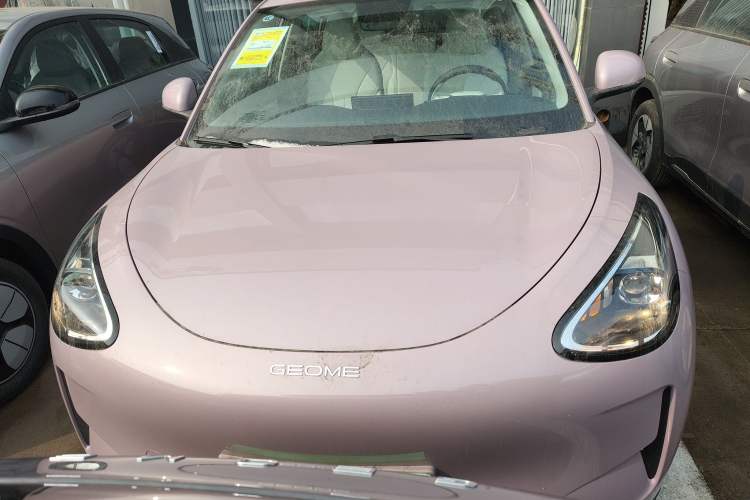 Used  Geome 2026 Model 310km Youth Edition
