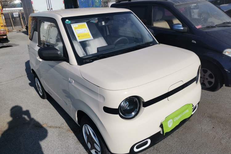 Used  Panda 2025 210 km – Yuanqi Bear