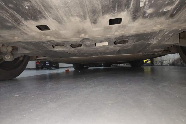 Used ORA Lightning Cat 2022 555 km Luxury Edition