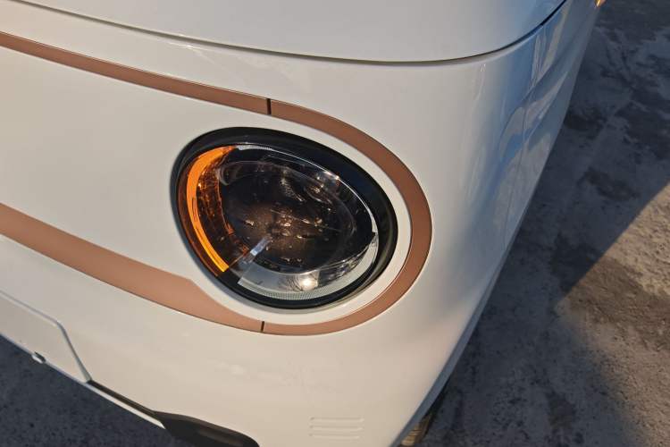 Used  Panda 2024 Panda Mini 200km Endurance Bear