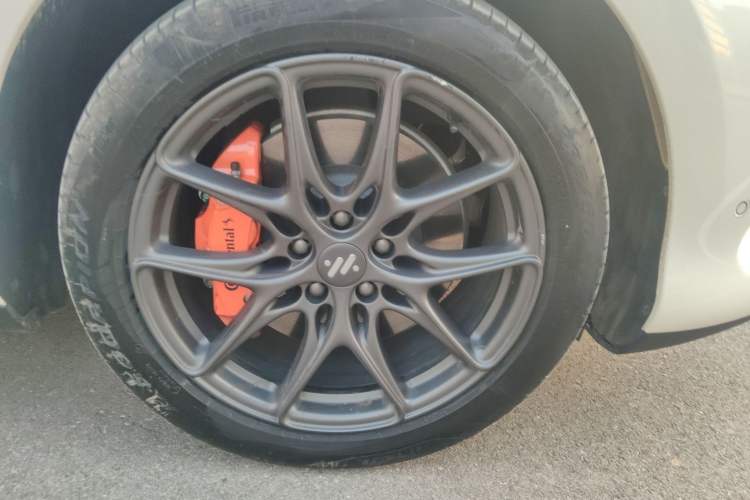 Used  LS6 2023 Max Standard Edition