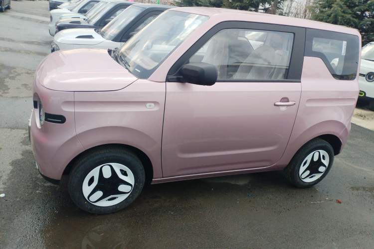 Used  Panda 2025 210 km – Yuanqi Bear
