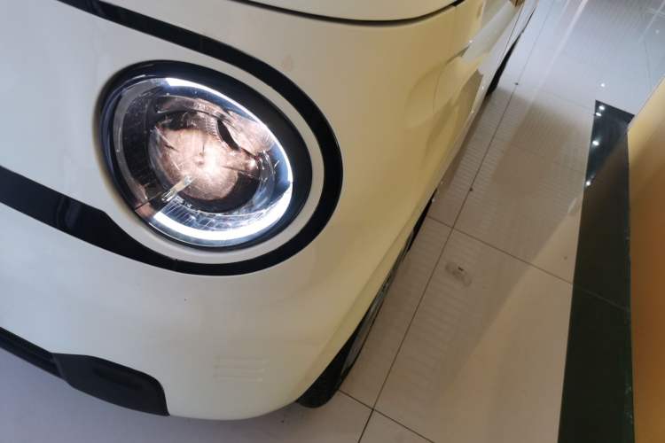 Used  Panda 2023 Panda Mini 200km Endurance Bear
